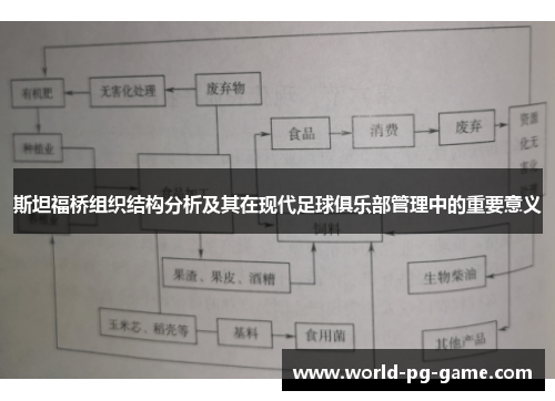 斯坦福桥组织结构分析及其在现代足球俱乐部管理中的重要意义