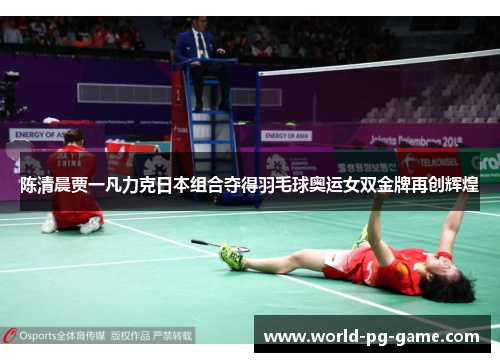 陈清晨贾一凡力克日本组合夺得羽毛球奥运女双金牌再创辉煌 陈清晨贾一凡力克日本组合夺得羽毛球奥运女双金牌再创辉煌